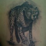 Photo tattoo cheetah 22.01.2019 №384 - tattoo cheetah example of drawing - tattoovalue.net