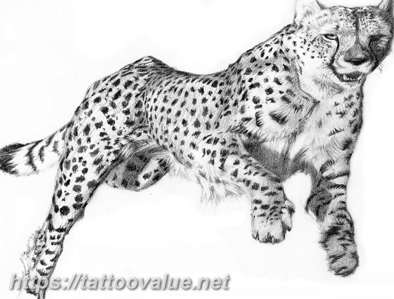Photo tattoo cheetah 22.01.2019 №386 - tattoo cheetah example of drawing - tattoovalue.net