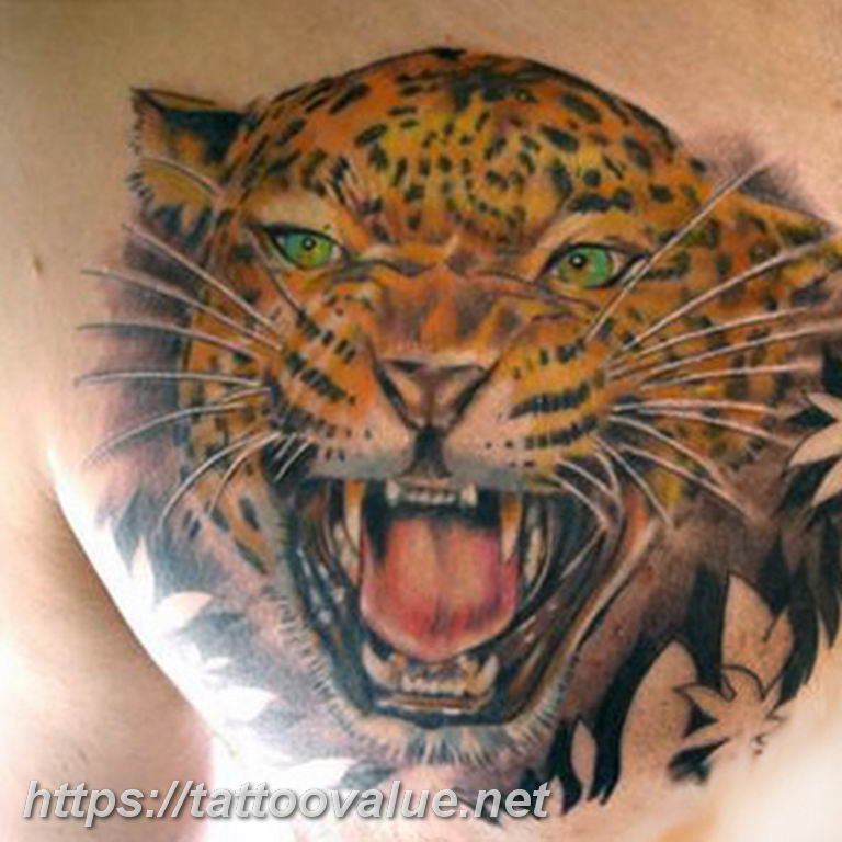 Photo tattoo cheetah 22.01.2019 №388 - tattoo cheetah example of drawing - tattoovalue.net