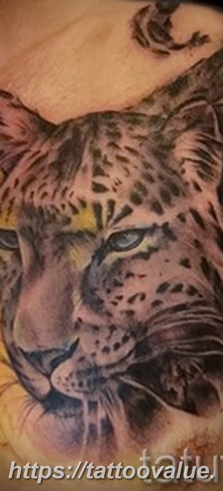 Photo tattoo cheetah 22.01.2019 №393 - tattoo cheetah example of drawing - tattoovalue.net