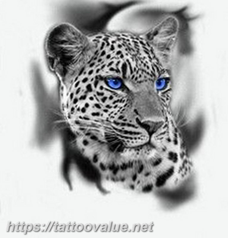Photo tattoo cheetah 22.01.2019 №396 - tattoo cheetah example of drawing - tattoovalue.net