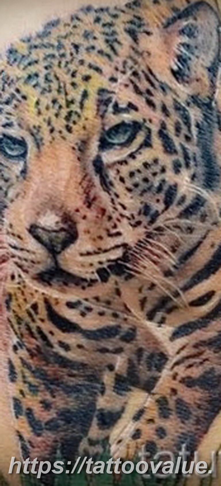 Photo tattoo cheetah 22.01.2019 №399 - tattoo cheetah example of drawing - tattoovalue.net