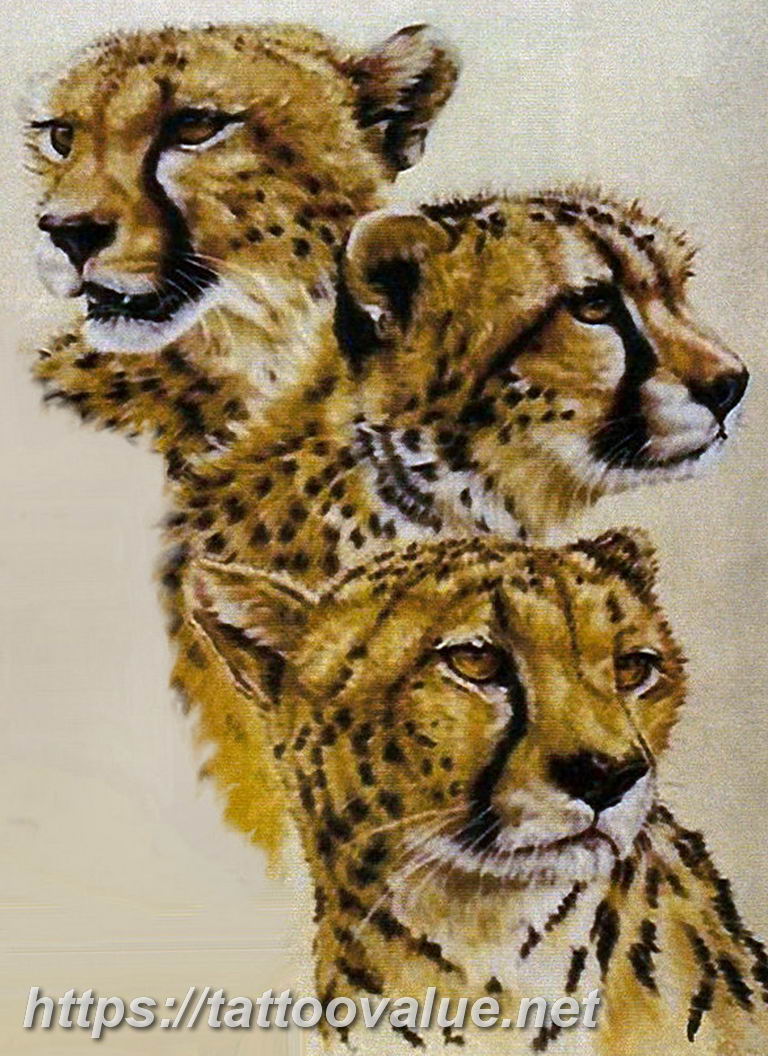 Photo tattoo cheetah 22.01.2019 №407 - tattoo cheetah example of drawing - tattoovalue.net