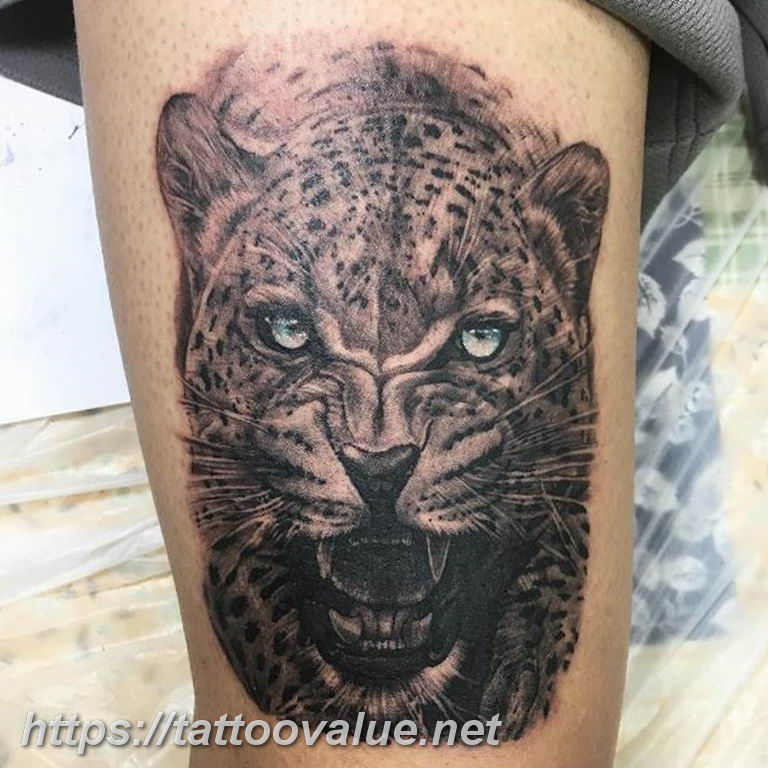 Photo tattoo cheetah 22.01.2019 №411 - tattoo cheetah example of drawing - tattoovalue.net