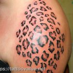 Photo tattoo cheetah 22.01.2019 №412 - tattoo cheetah example of drawing - tattoovalue.net