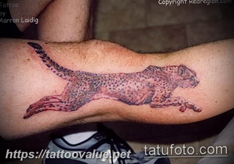 Photo tattoo cheetah 22.01.2019 №414 - tattoo cheetah example of drawing - tattoovalue.net