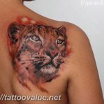 Photo tattoo cheetah 22.01.2019 №419 - tattoo cheetah example of drawing - tattoovalue.net