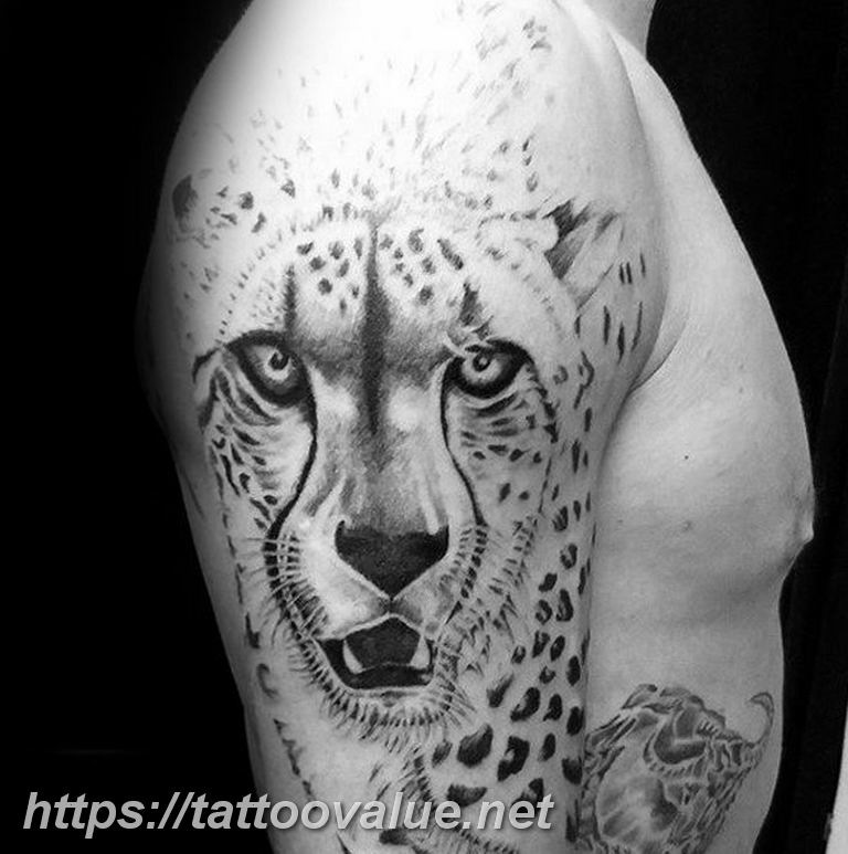 Photo tattoo cheetah 22.01.2019 №423 - tattoo cheetah example of drawing - tattoovalue.net