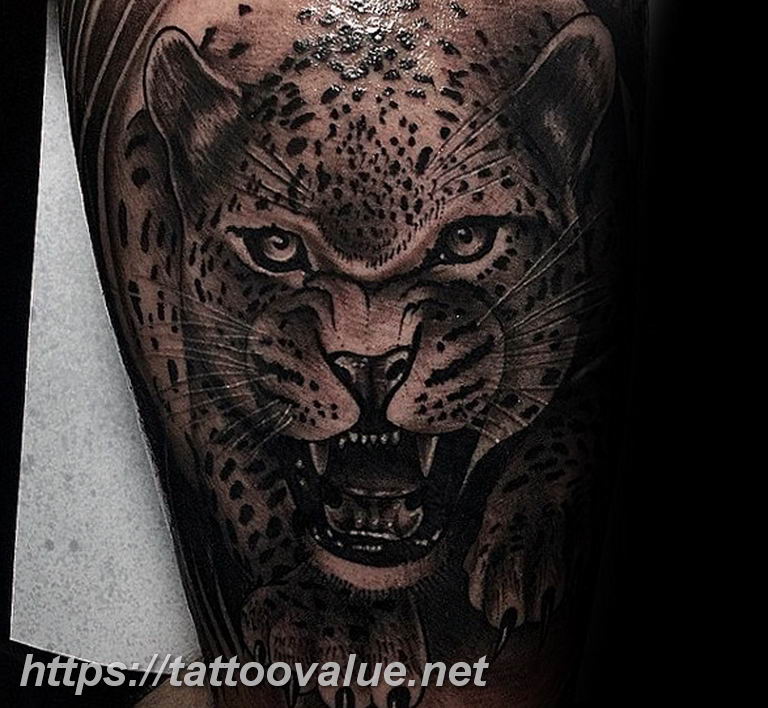 Photo tattoo cheetah 22.01.2019 №431 - tattoo cheetah example of drawing - tattoovalue.net