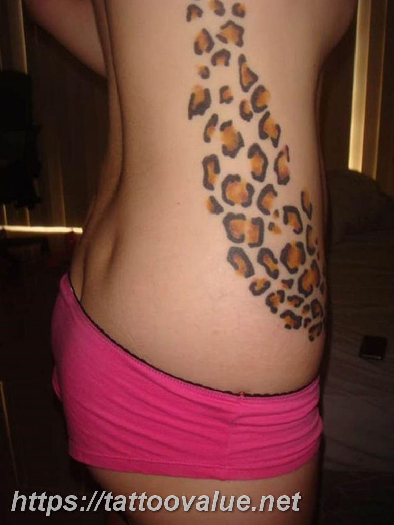 Photo tattoo cheetah 22.01.2019 №432 - tattoo cheetah example of drawing - tattoovalue.net