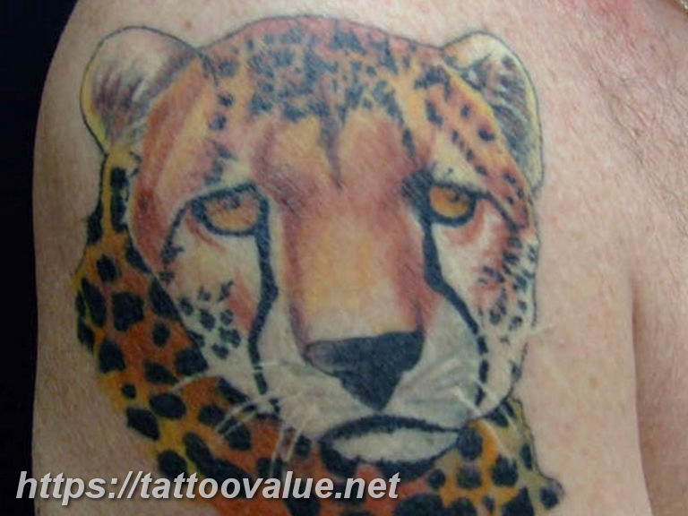 Photo tattoo cheetah 22.01.2019 №438 - tattoo cheetah example of drawing - tattoovalue.net