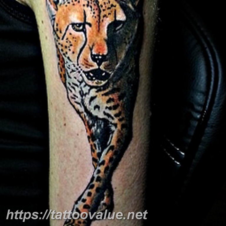 Photo tattoo cheetah 22.01.2019 №442 - tattoo cheetah example of drawing - tattoovalue.net