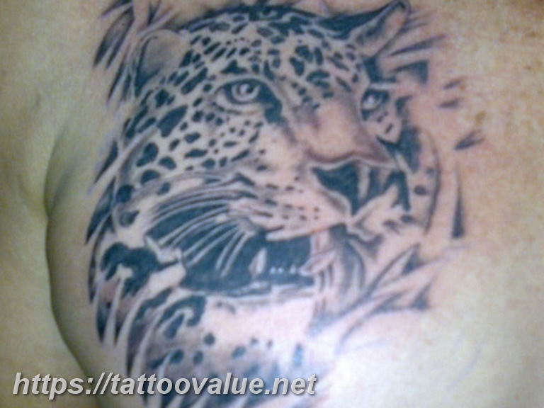 Photo tattoo cheetah 22.01.2019 №443 - tattoo cheetah example of drawing - tattoovalue.net