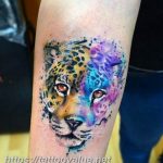 Photo tattoo cheetah 22.01.2019 №446 - tattoo cheetah example of drawing - tattoovalue.net