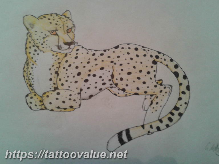 Photo tattoo cheetah 22.01.2019 №449 - tattoo cheetah example of drawing - tattoovalue.net