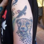 Photo tattoo cheetah 22.01.2019 №458 - tattoo cheetah example of drawing - tattoovalue.net