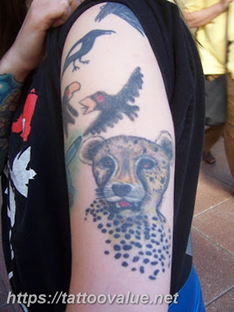Photo tattoo cheetah 22.01.2019 №458 - tattoo cheetah example of drawing - tattoovalue.net