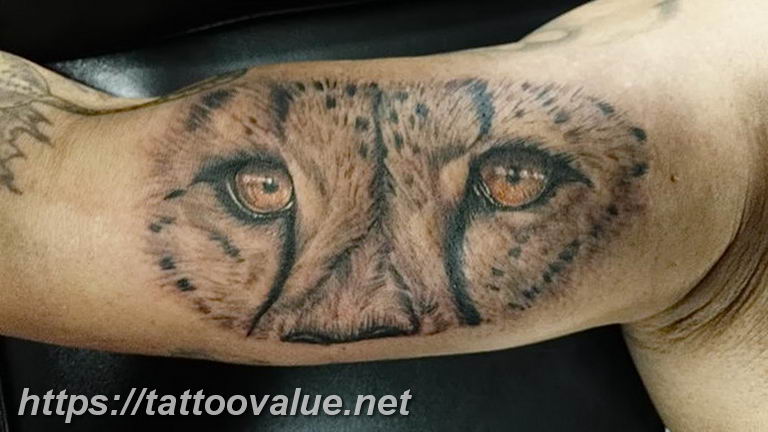 Photo tattoo cheetah 22.01.2019 №463 - tattoo cheetah example of drawing - tattoovalue.net