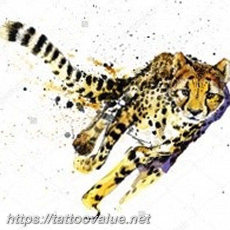 Photo tattoo cheetah 22.01.2019 №464 - tattoo cheetah example of drawing - tattoovalue.net