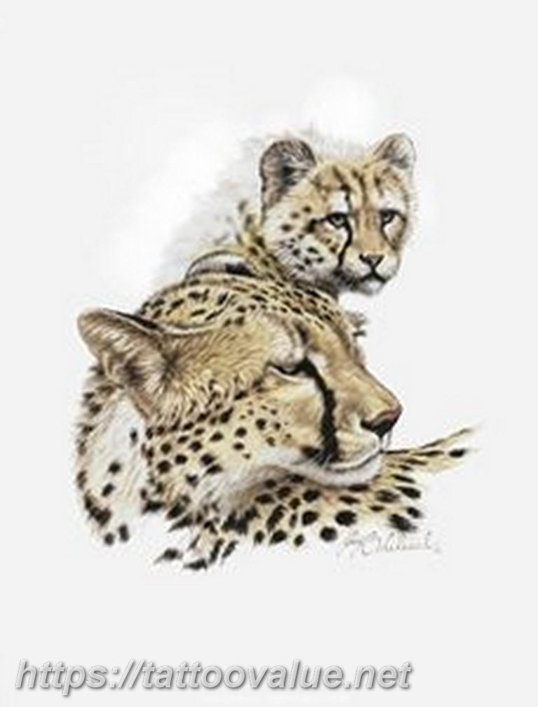 Photo tattoo cheetah 22.01.2019 №468 - tattoo cheetah example of drawing - tattoovalue.net