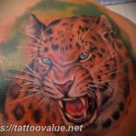 Photo tattoo cheetah 22.01.2019 №475 - tattoo cheetah example of drawing - tattoovalue.net