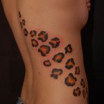 Photo tattoo cheetah 22.01.2019 №476 - tattoo cheetah example of drawing - tattoovalue.net