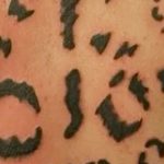 Photo tattoo cheetah 22.01.2019 №477 - tattoo cheetah example of drawing - tattoovalue.net