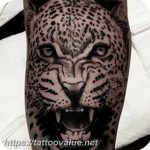 Photo tattoo cheetah 22.01.2019 №483 - tattoo cheetah example of drawing - tattoovalue.net