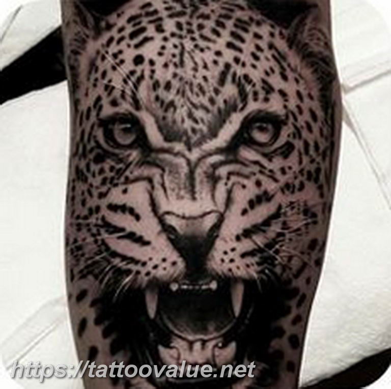 Photo tattoo cheetah 22.01.2019 №483 - tattoo cheetah example of drawing - tattoovalue.net