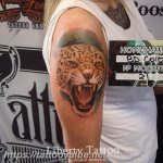 Photo tattoo cheetah 22.01.2019 №486 - tattoo cheetah example of drawing - tattoovalue.net