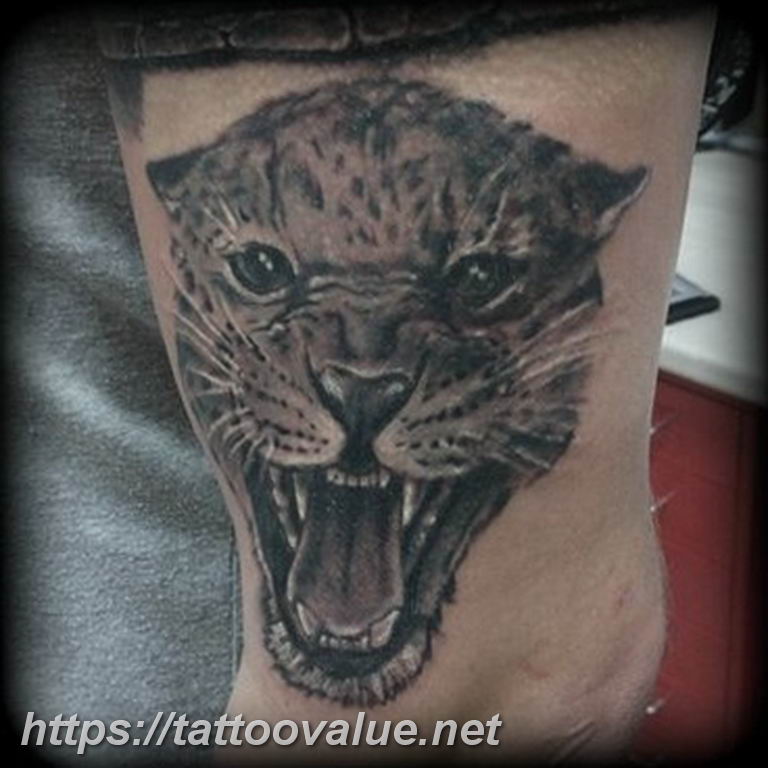 Photo tattoo cheetah 22.01.2019 №489 - tattoo cheetah example of drawing - tattoovalue.net
