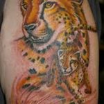 Photo tattoo cheetah 22.01.2019 №493 - tattoo cheetah example of drawing - tattoovalue.net