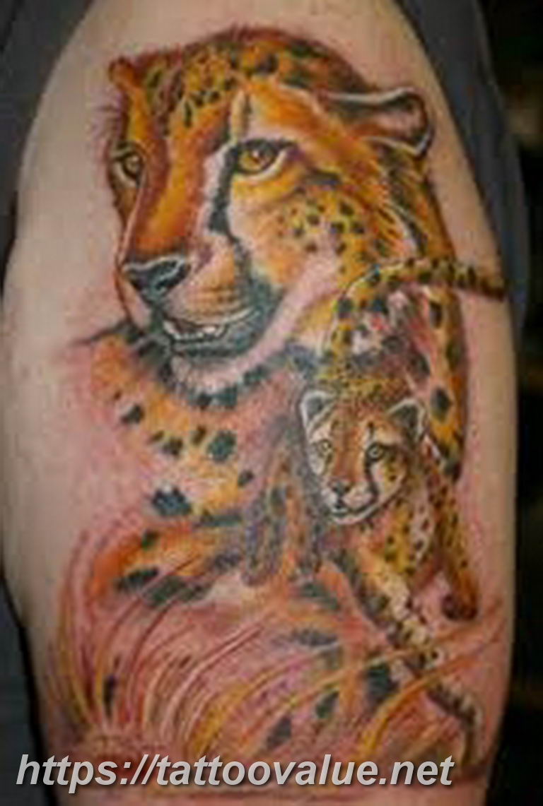 Photo tattoo cheetah 22.01.2019 №493 - tattoo cheetah example of drawing - tattoovalue.net