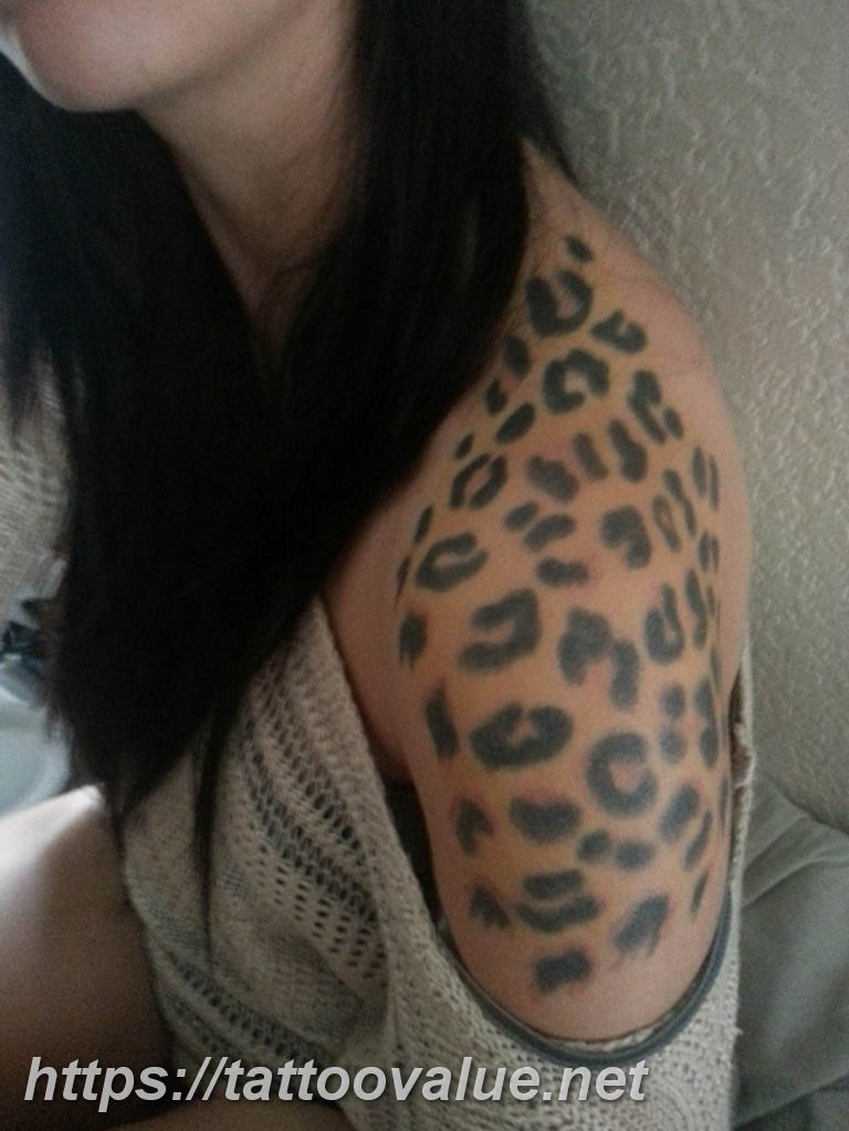 Photo tattoo cheetah 22.01.2019 №498 - tattoo cheetah example of drawing - tattoovalue.net
