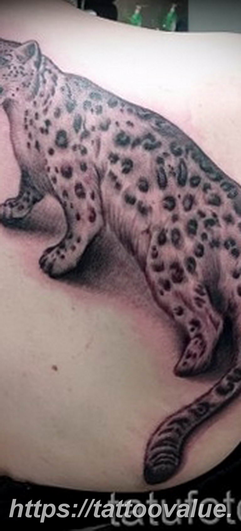 Photo tattoo cheetah 22.01.2019 №499 - tattoo cheetah example of drawing - tattoovalue.net