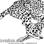 Photo tattoo cheetah 22.01.2019 №511 - tattoo cheetah example of drawing - tattoovalue.net
