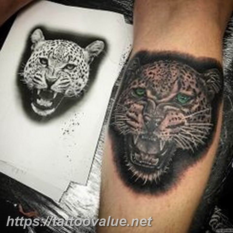 Photo tattoo cheetah 22.01.2019 №514 - tattoo cheetah example of drawing - tattoovalue.net