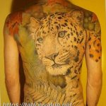 Photo tattoo cheetah 22.01.2019 №521 - tattoo cheetah example of drawing - tattoovalue.net