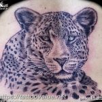 Photo tattoo cheetah 22.01.2019 №525 - tattoo cheetah example of drawing - tattoovalue.net