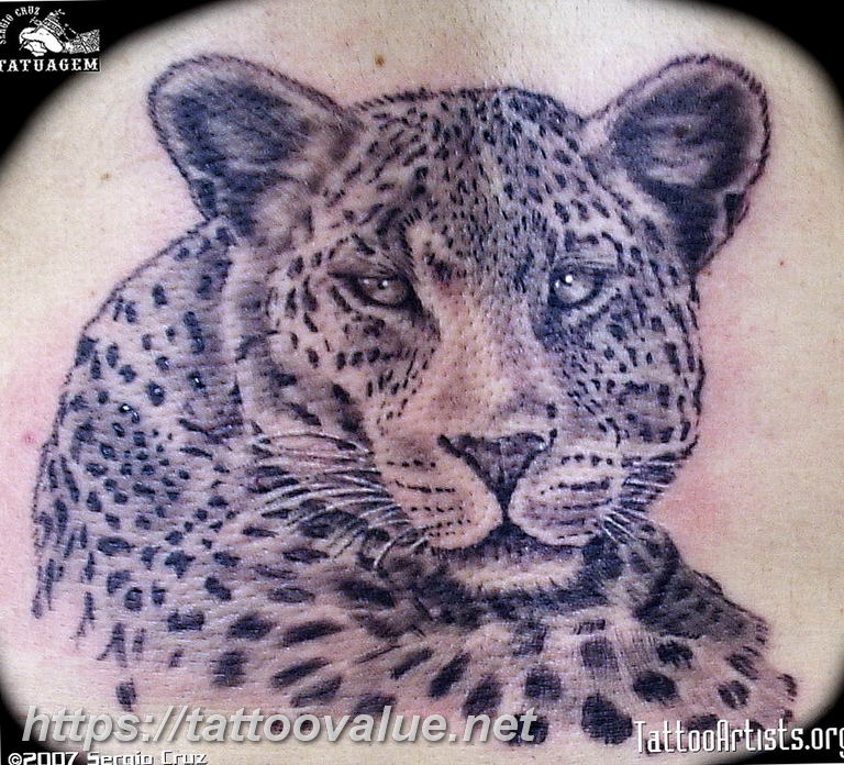 Photo tattoo cheetah 22.01.2019 №525 - tattoo cheetah example of drawing - tattoovalue.net