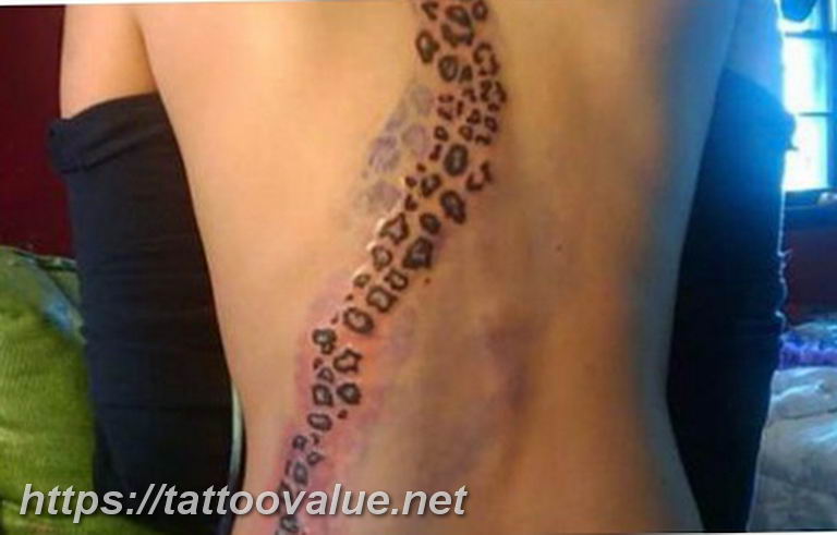 Photo tattoo cheetah 22.01.2019 №533 - tattoo cheetah example of drawing - tattoovalue.net