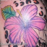 Photo tattoo cheetah 22.01.2019 №546 - tattoo cheetah example of drawing - tattoovalue.net