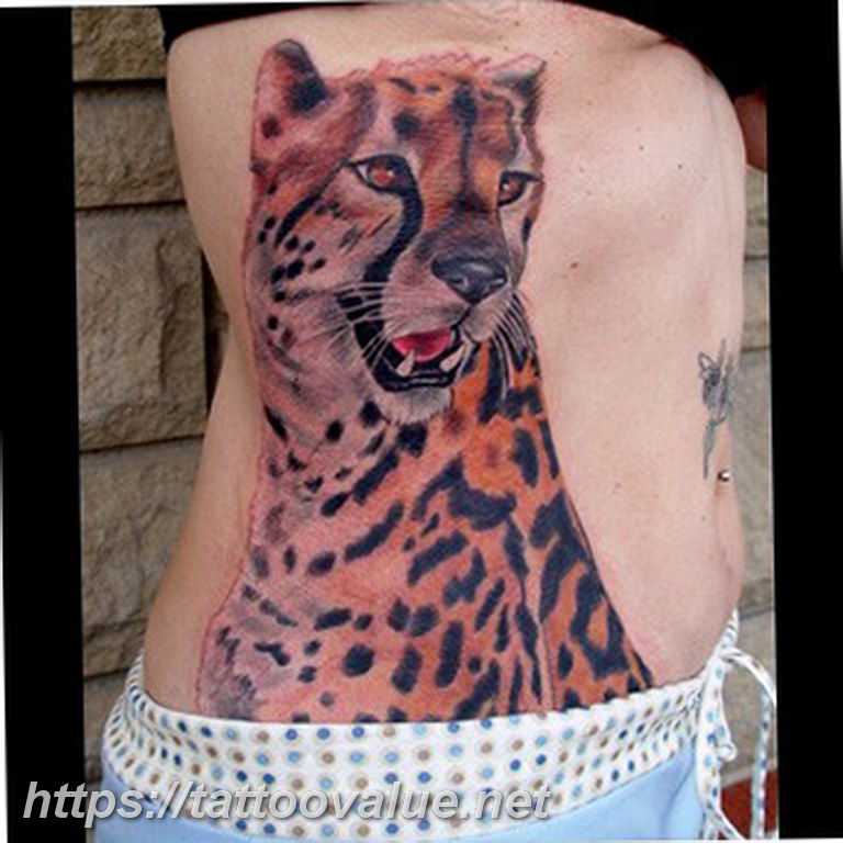 Photo tattoo cheetah 22.01.2019 №551 - tattoo cheetah example of drawing - tattoovalue.net