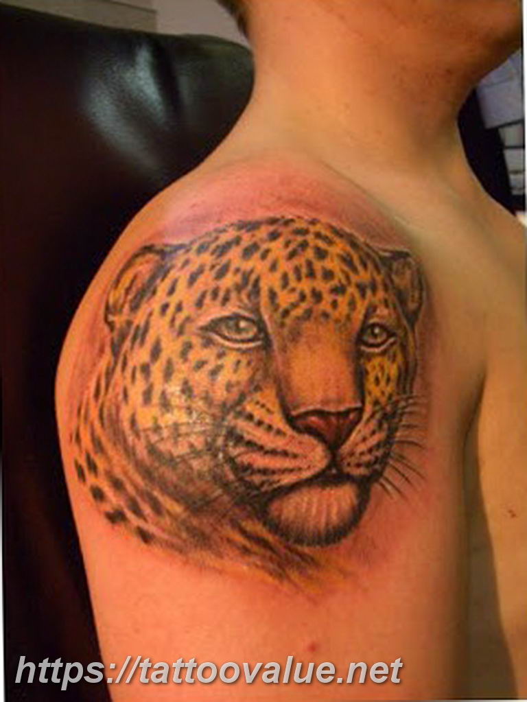 Photo tattoo cheetah 22.01.2019 №574 - tattoo cheetah example of drawing - tattoovalue.net