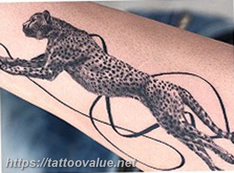 Photo tattoo cheetah 22.01.2019 №576 - tattoo cheetah example of drawing - tattoovalue.net
