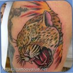 Photo tattoo cheetah 22.01.2019 №577 - tattoo cheetah example of drawing - tattoovalue.net