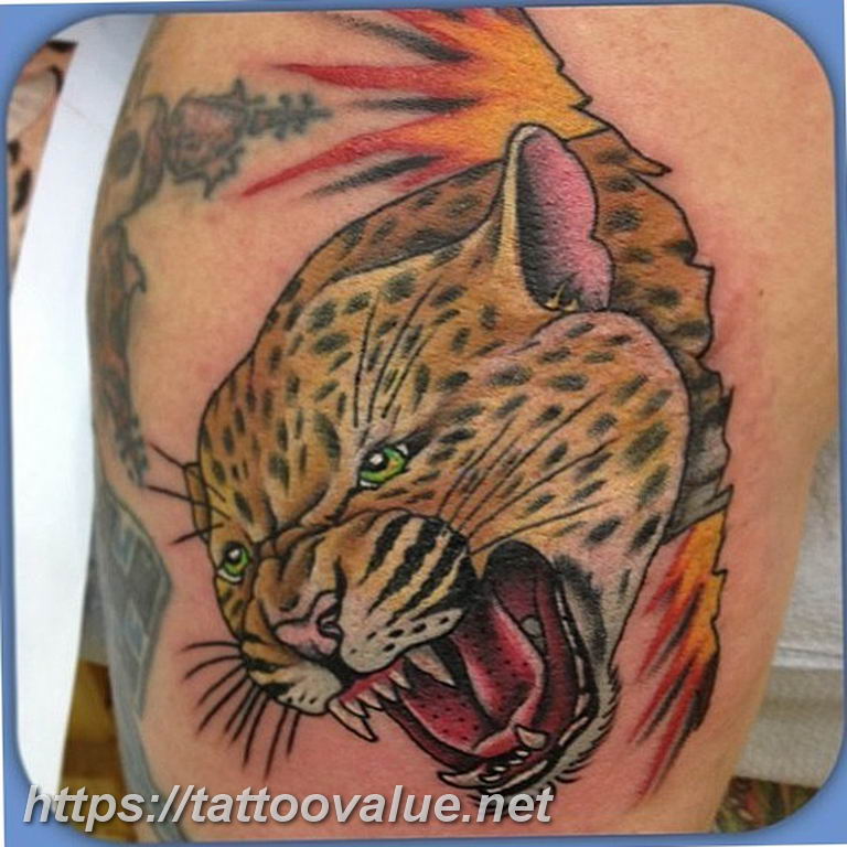 Photo tattoo cheetah 22.01.2019 №577 - tattoo cheetah example of drawing - tattoovalue.net