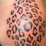 Photo tattoo cheetah 22.01.2019 №584 - tattoo cheetah example of drawing - tattoovalue.net