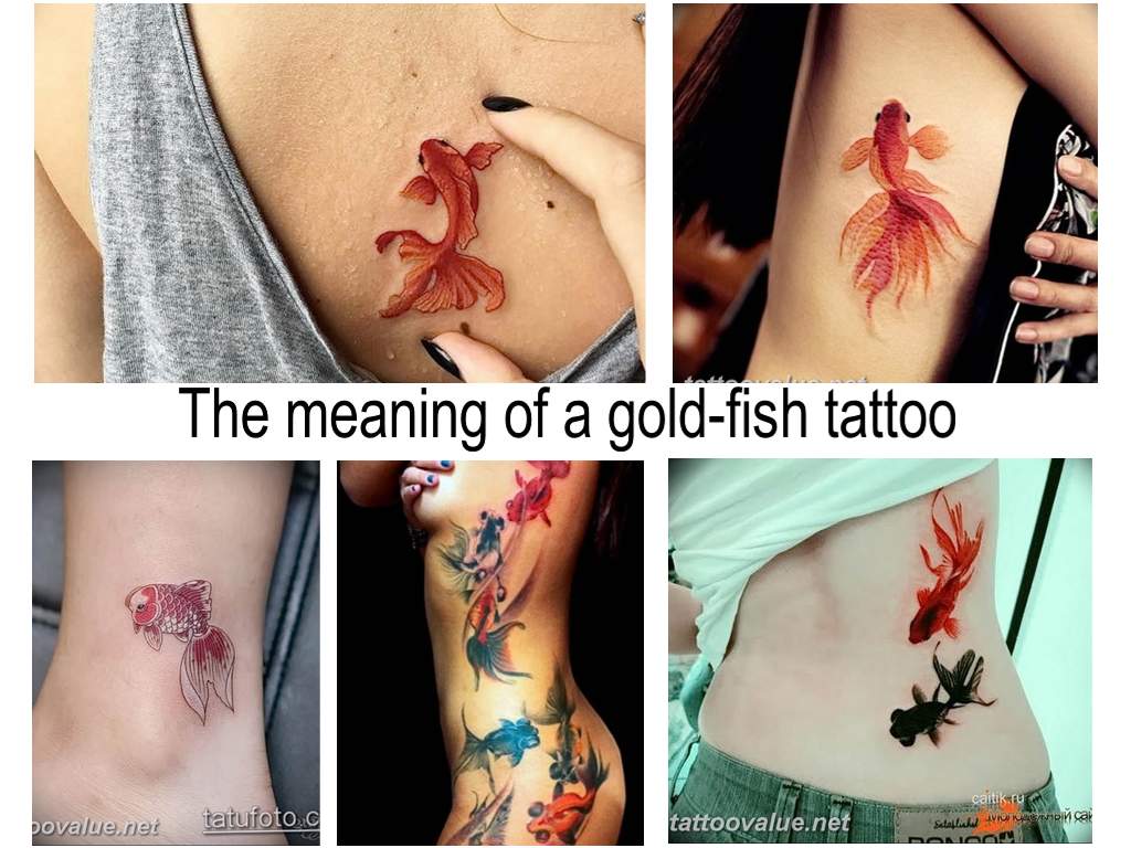 The meaning of a gold-fish tattoo - information about the meaning of the picture and photo examples of finished tattoos