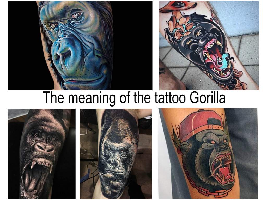 The meaning of the tattoo Gorilla - information about the features of the picture and photo examples of finished tattoos